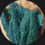 KALE BLACK ORGANIC