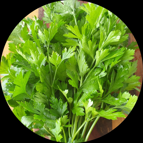 HERB PARSLEY ORGANIC PER BUNCH