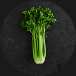 CELERY ORGANIC