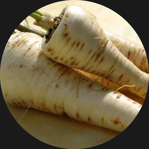 PARSNIP ORGANIC