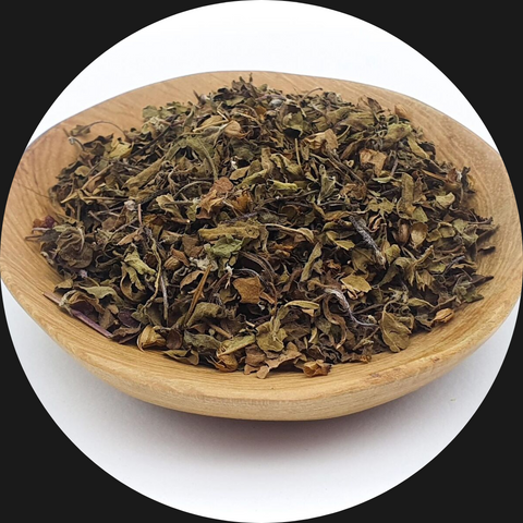 TULSI TEA ORGANIC