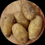 POTATOES DUTCH CREAM ORGANIC PER KILO