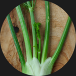 FENNEL ORGANIC AUST PER BULB