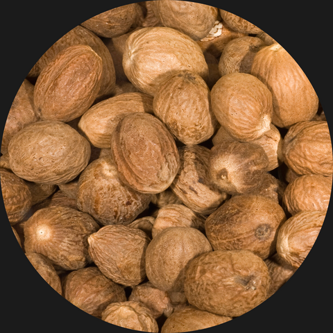 NUTMEG WHOLE