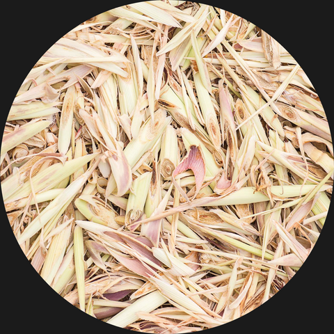 LEMONGRASS TEA ORGANIC