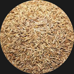 CUMIN SEED