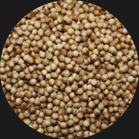 CORIANDER SEEDS