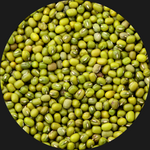 MUNG BEANS AUSTRALIAN