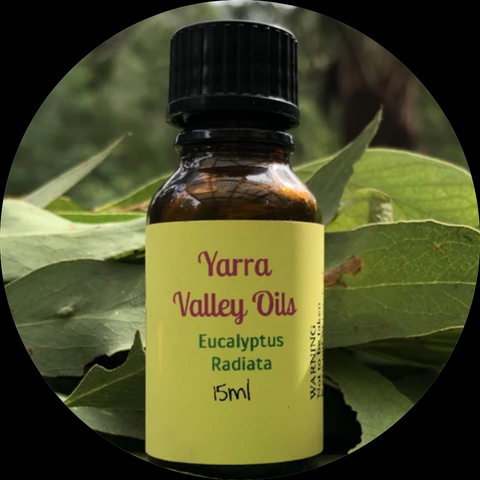 Yarra Valley Oils Pure Essential Oil Eucalyptus Radiata