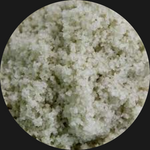 CELTIC  SEA SALT