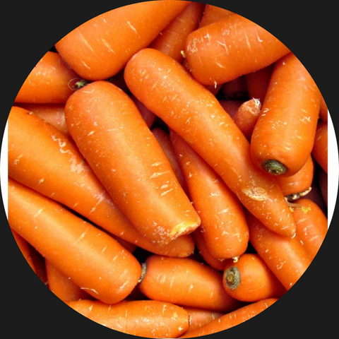 CARROTS JUICING ORGANIC